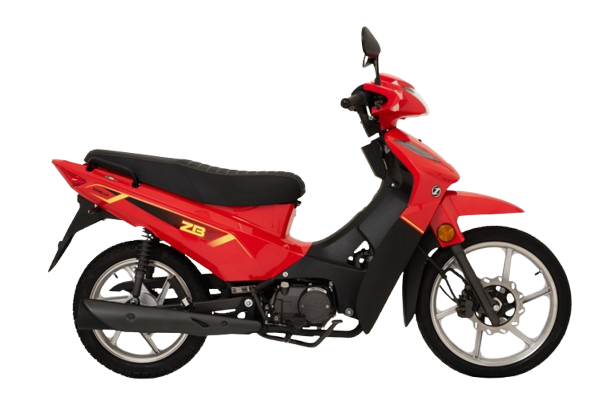 ZB 110 Z3 New Full (0) [M3738]